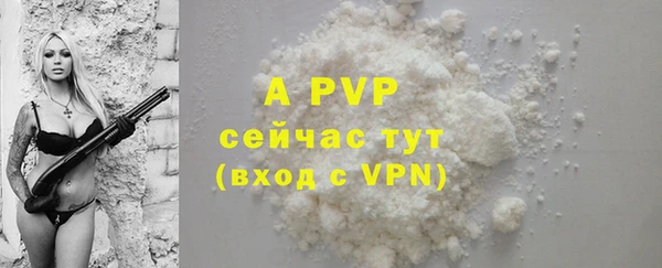 apvp Володарск